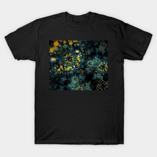 Decorate T-Shirt